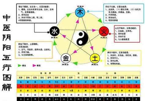 水生金 五行